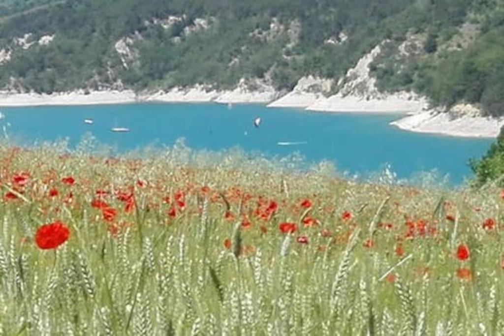 Gite De Charme : La Grange Au Lac Azur Treffort  Exteriör bild