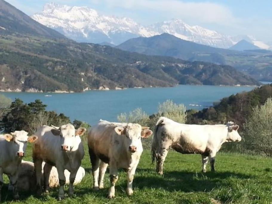 Gite De Charme : La Grange Au Lac Azur Treffort  Exteriör bild